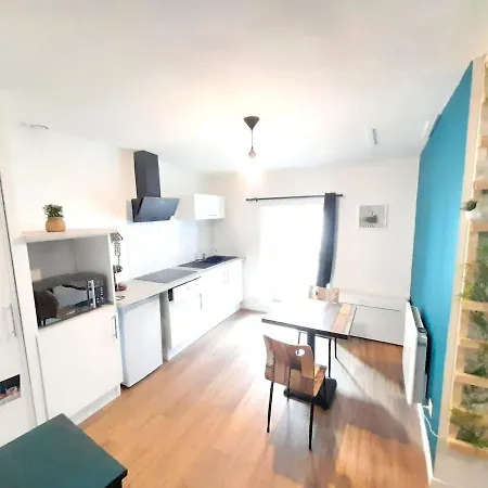 Le Delice Du Centre Appartement *